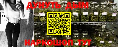 мдпв Новодвинск