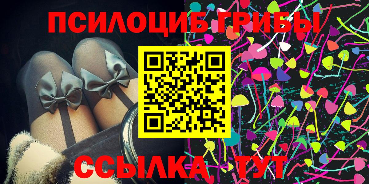 Галлюциногенные грибы Psilocybe Тулун