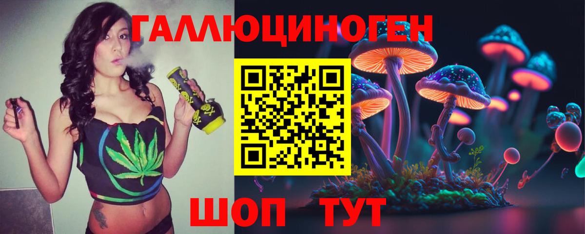 Псилоцибиновые грибы Cubensis  Вход с VPN  Тулун 